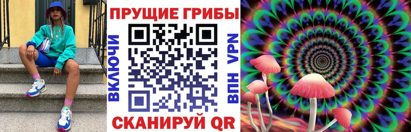 Галлюциногенные грибы Cubensis  Купить закладки  Старый Крым 